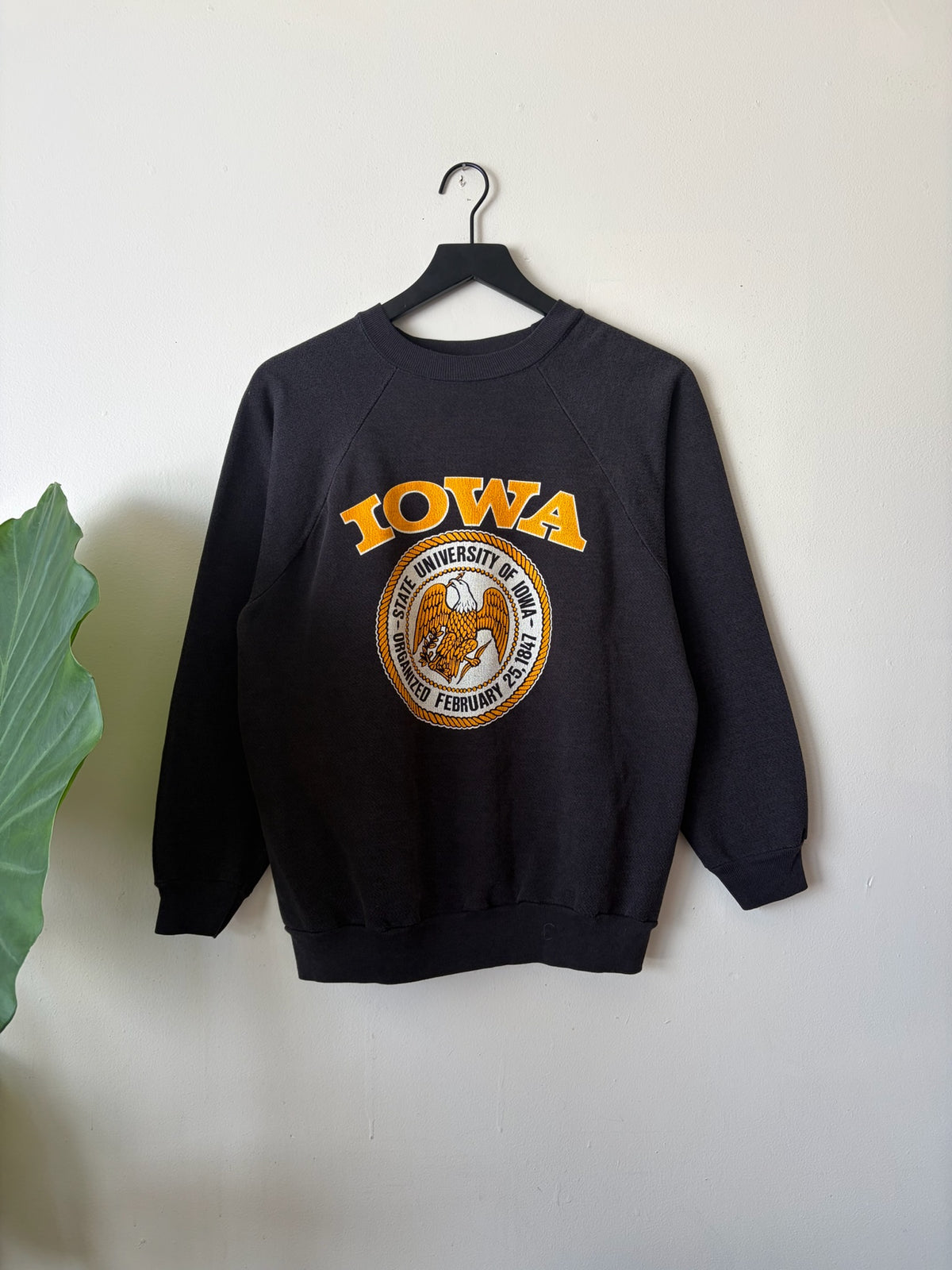 80s Iowa Crewneck
