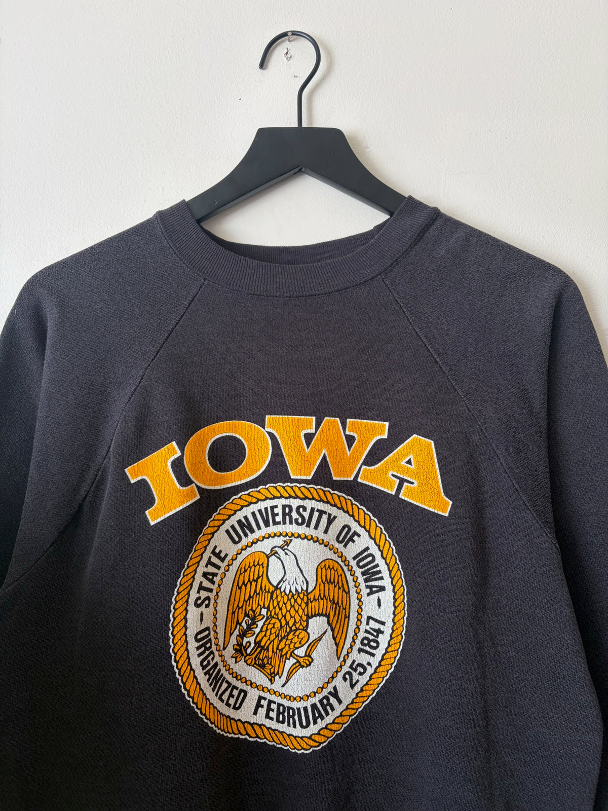 80s Iowa Crewneck