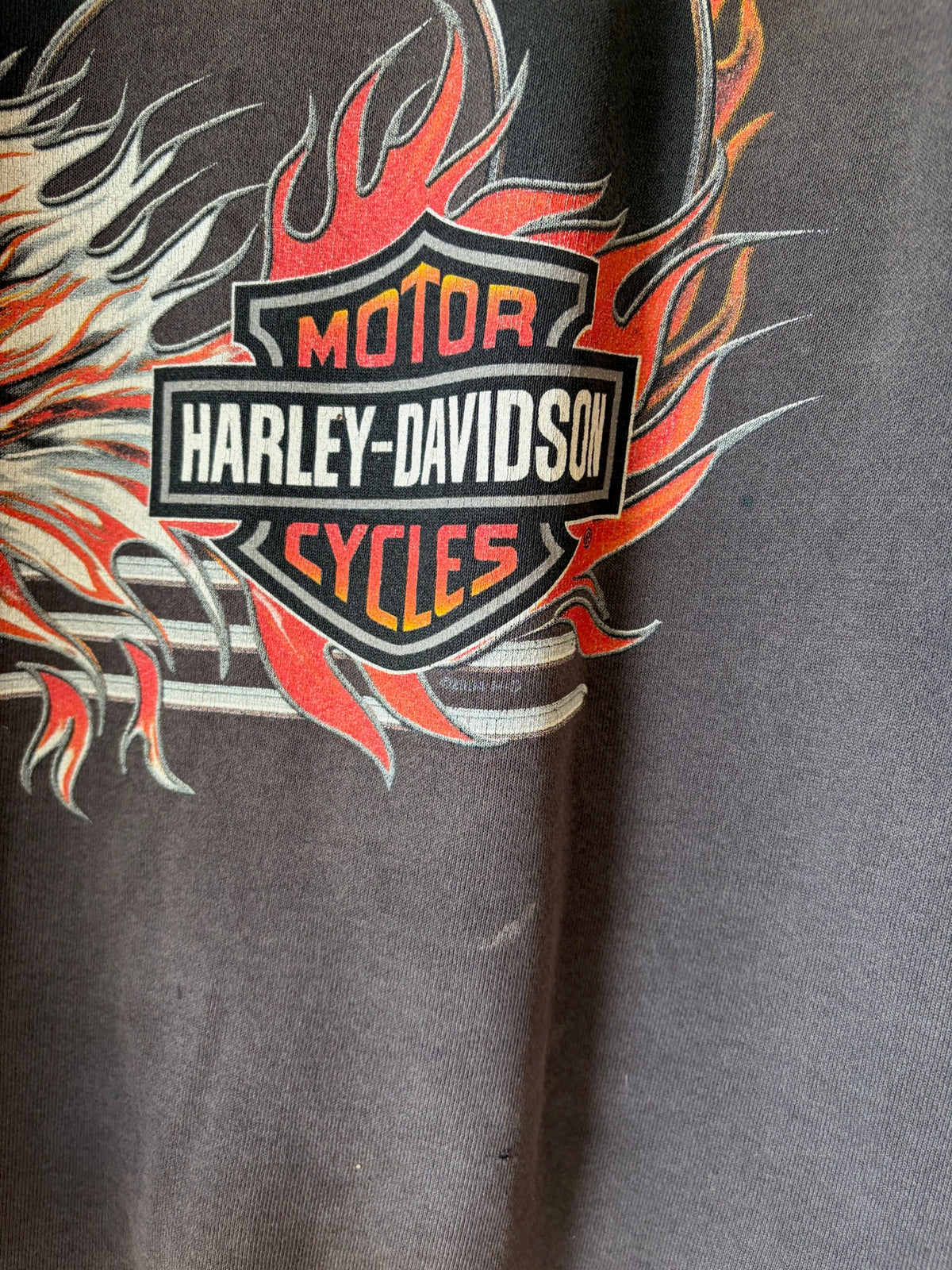 2000s Harley Davidson Sacramento Flame Sleeve Hoodie